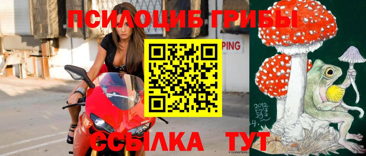 Галлюциногенные грибы прущие грибы  Галлюциногенные грибы Cubensis  Верхняя Салда  Вход с VPN 